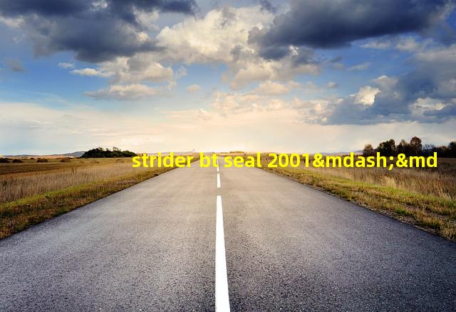 strider bt seal 2001——野战刀